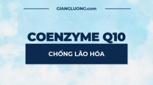 CoenzymeQ10-ChongLaoHoa