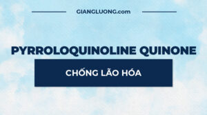 PQQ Chong Lao Hoa