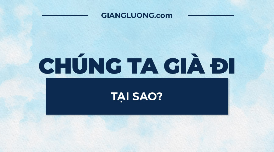 Tại Sao Chúng Ta Già Đi